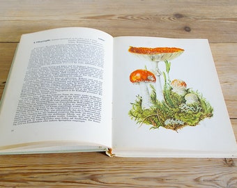 Vintage mushroom fungi book, botanical color illustration, toadstool field guide, drawing print wall, old colorful collage, bedroom gift