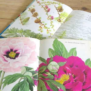 Vintage two volumes bushes trees book, garden illustrations flower guide, Roses lilacs peoni, Architecture mid century modern, journaling