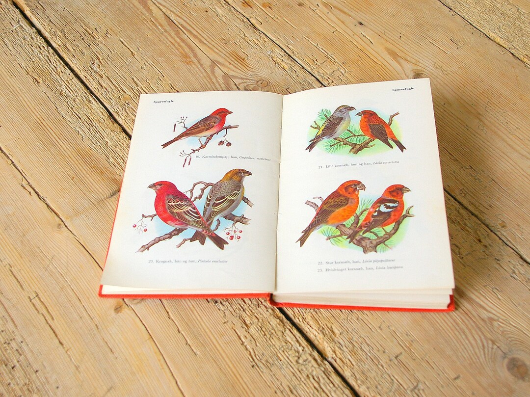 Vintage Bird Guide Book, Vintage Bird Illustrations, Collage Pages ...