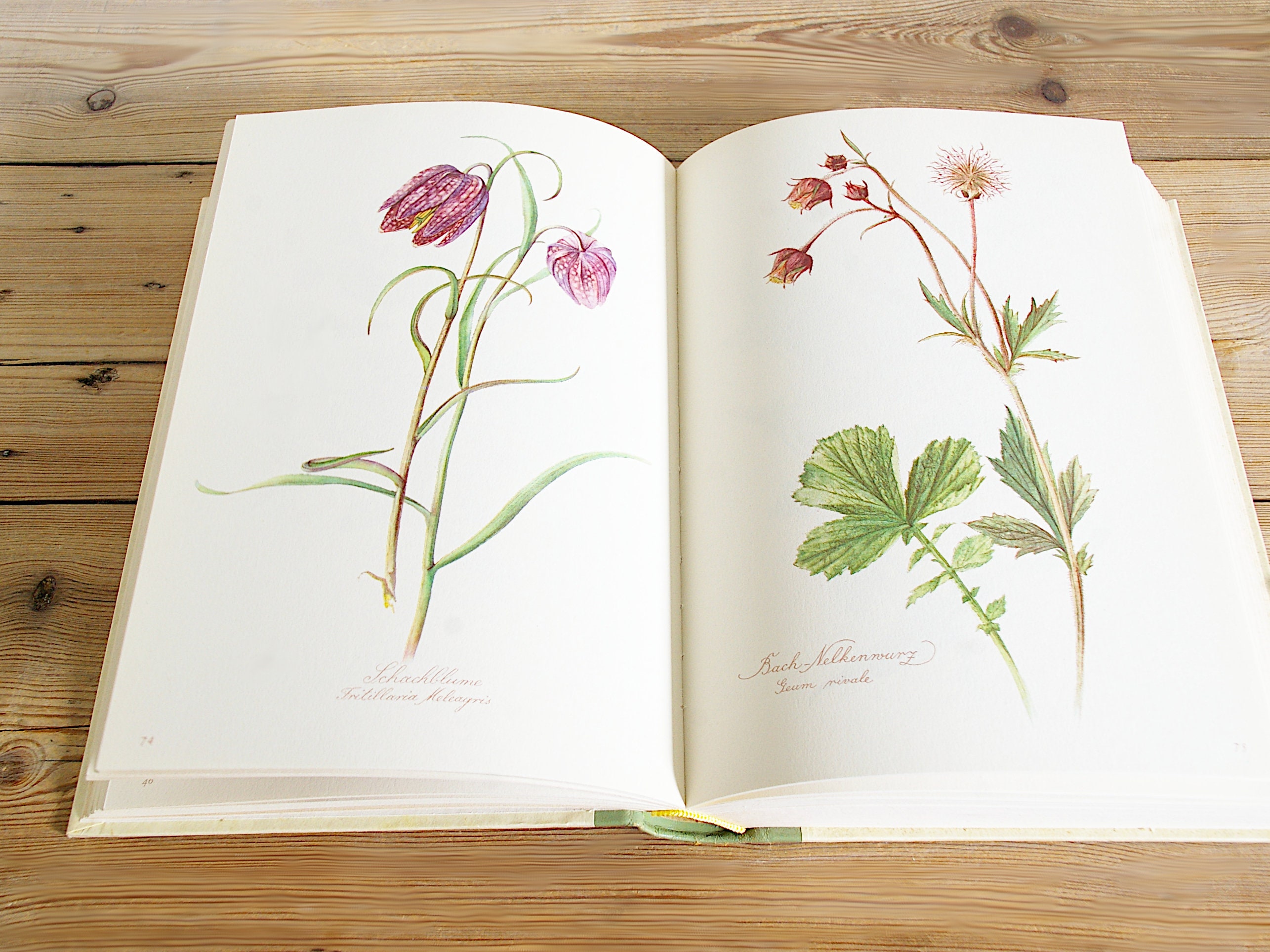 CLASSIC FLOWER アートブック Vintage Big Flower Book With 140 Beautiful Color