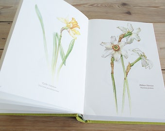 Vintage Big Flower Book With 115 Beautiful Color