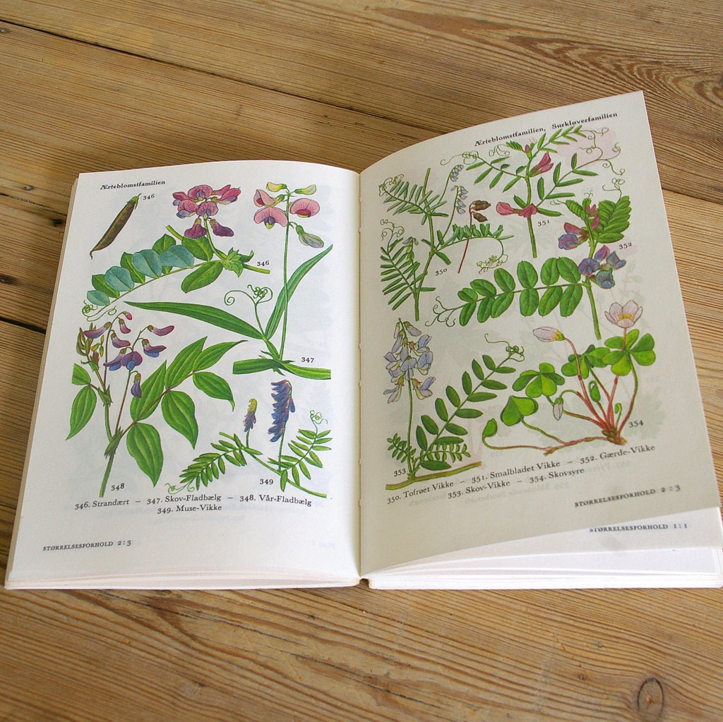 Vintage Flora Book Guide Flower Field Guide Wildflower - Etsy