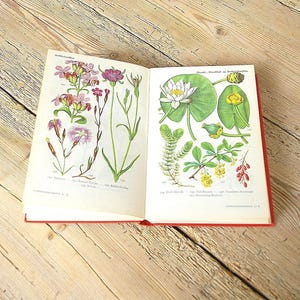 May include: An open book with a red cover displaying botanical illustrations of various flowers and aquatic plants on its pages. The left page features pink and purple blossoms, while the right page shows a white water lily and yellow flowers.