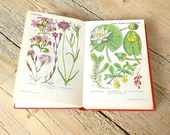 May include: An open book with a red cover displaying botanical illustrations of various flowers and aquatic plants on its pages. The left page features pink and purple blossoms, while the right page shows a white water lily and yellow flowers.