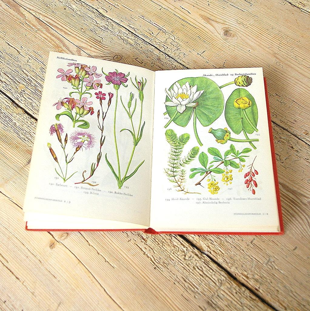 ヴィンテージの花の本、植物図鑑、120ページ以上、花のイラスト