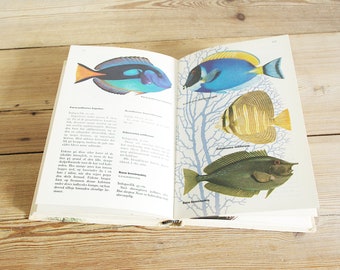 Vintage aquarium fish book, 100+ pages color illustrations, fish guide prints, paper journaling, supply collage wall, kids room children