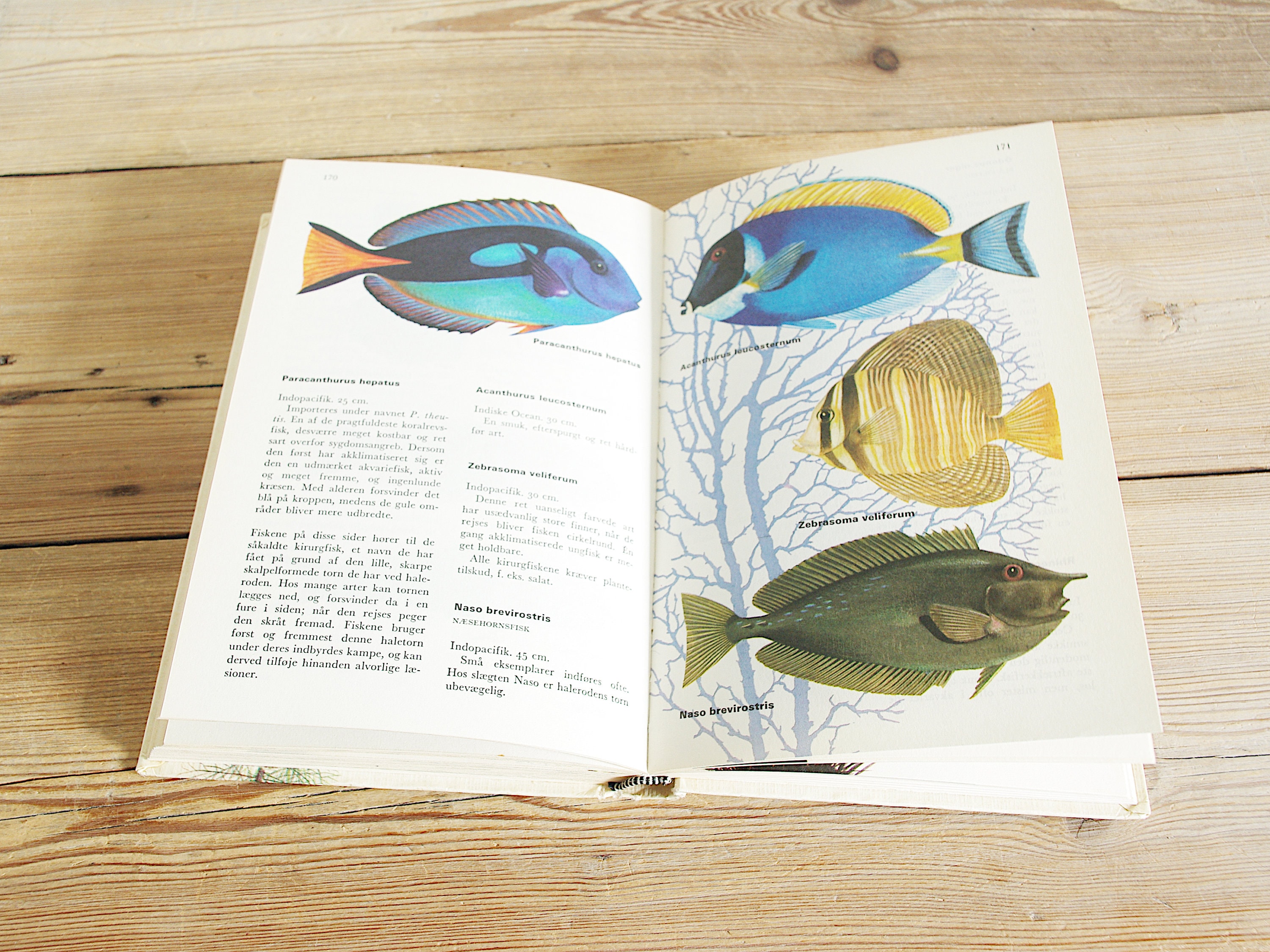 Vintage Aquarium Fish Book, 100+ Pages Color Illustrations, Fish