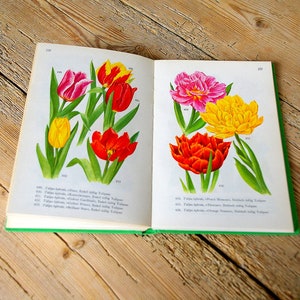 Libro vintage di oltre 250 pagine su fiori e alberi, splendide illustrazioni floreali, natura botanica, progetti creativi di journaling, collage di biglietti