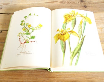 Vintage big flower book with 160 beautiful color illustrations, exquisite painted flowers, floral prints, Botanical nature pages old