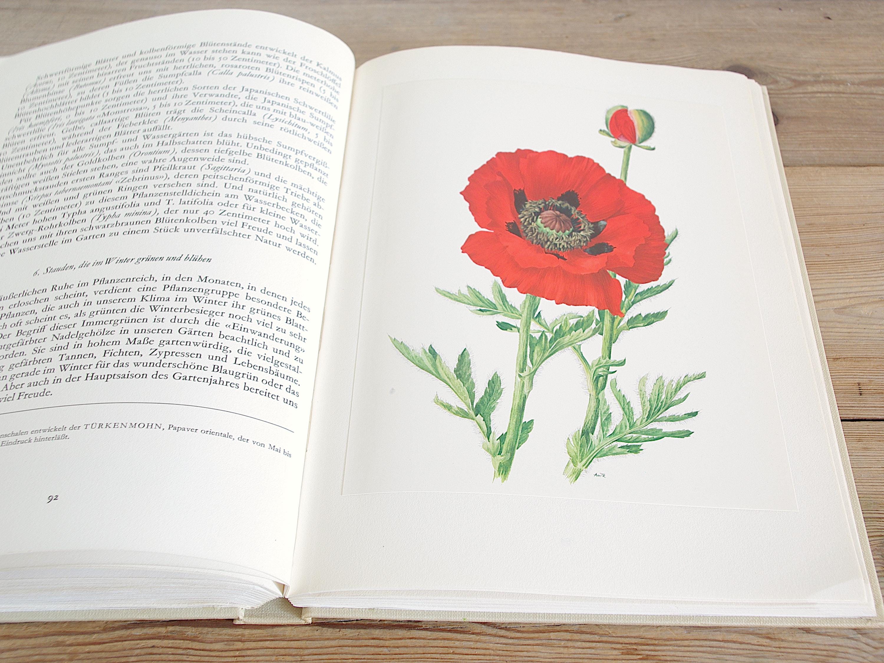 Vintage Big Flower Book With 60 Pages of Gorgeous Color