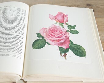 Vintage Redouté Roses Book | an Illustrated Treasury of Redouté