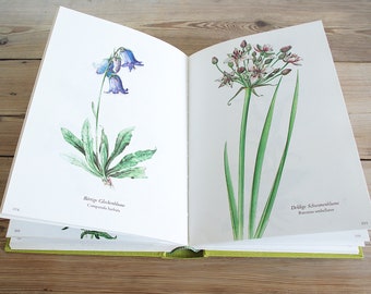 flower_ヴィンテージ Vintage Big Flower Book With 300 Beautiful Color