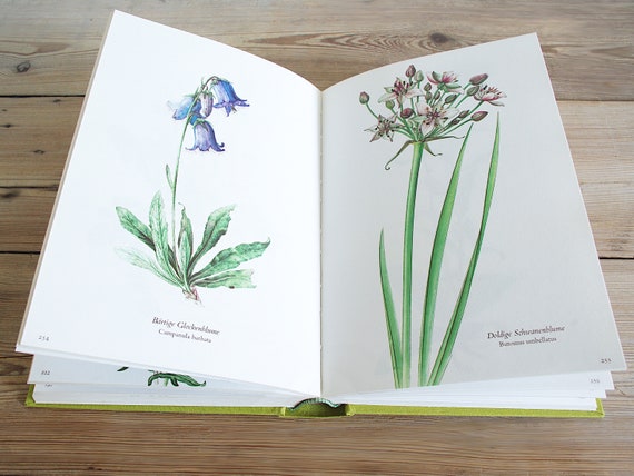 Vintage Big Flower Book With 300 Beautiful Color