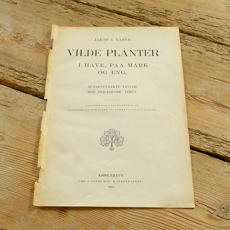 May include: A vintage book cover with the title "VILDE PLANTER" in black text. The book is about wild plants and features 24 color plates with descriptions. It was published in Copenhagen in 1913.