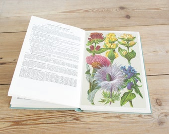 Vintage flora book guide with alpine flowers and plants, alp flower illustrations, journaling supply, wildflower pages for framing