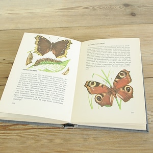 May include: An open book with illustrations of butterflies and their life cycle. The book is titled "Sorgekaben" and "Bagfafiole" with text in Danish.