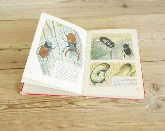 Vintage keverboek of veldgids, Griezelige crawlies-pagina's voor Halloween-decor, insectencollagepagina's, kleurtekeningillustraties,