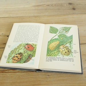 Vintage insects book field guide, Halloween decor crafts, Creepy crawlies, Collage page illustrations, paper ephemera, scrapbooking cards