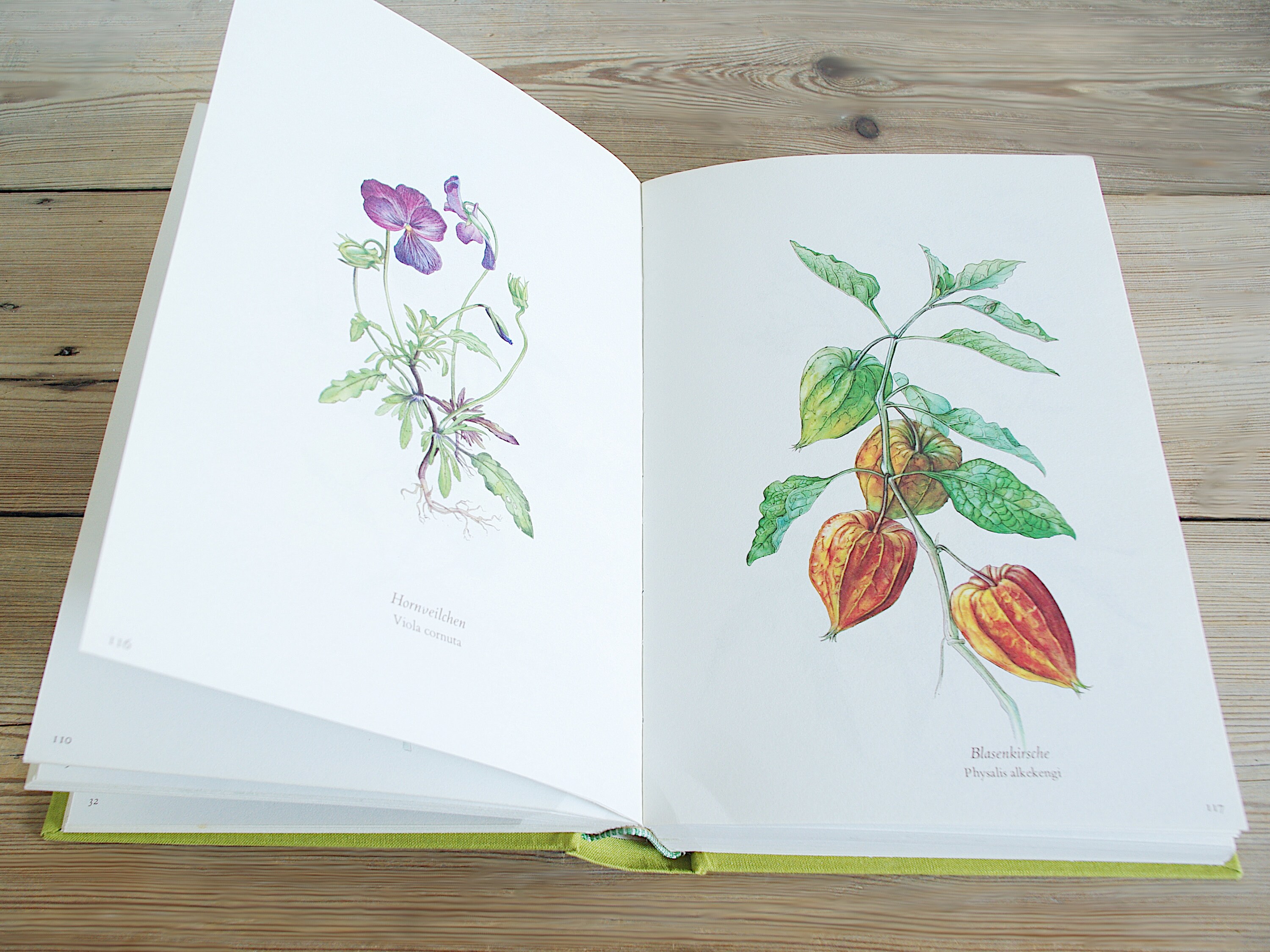 Vintage Big Flower Book With 300 Beautiful Color
