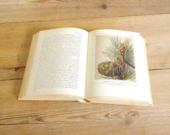 Vintage trees bushes book guide, forest field guide, botanical illustrations Collage, journaling supply, old plants, gift for tree lover