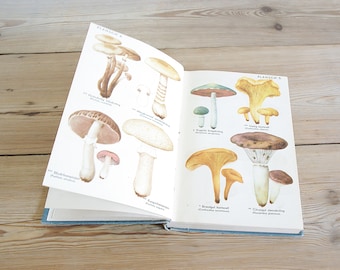 Vintage mushroom fungi book, botanical black and white illustrations, toadstool field guide, print wall, old collage
