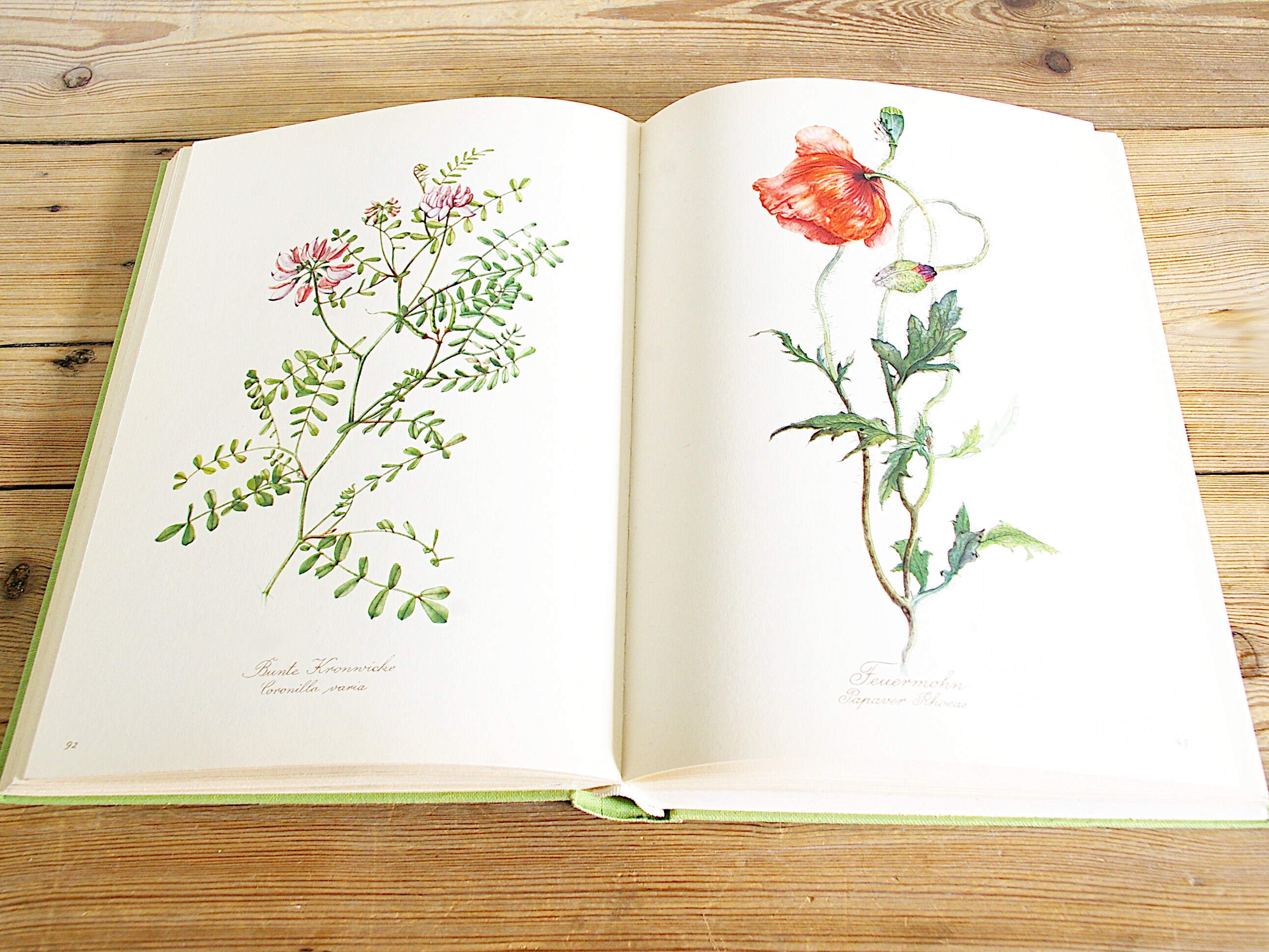 Vintage Big Flower Book With 160 Beautiful Color