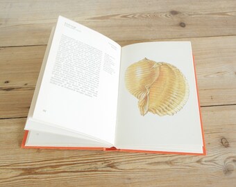 Vintage shell book with color illustrations, Beach combing guide, Book Collage pages, Bathroom wall decor for framing, journaling supply