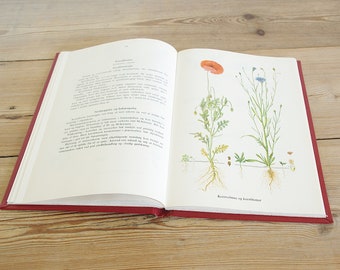 Vintage flower book or flora field guide with color floral illustrations, collage pages, grasses wildflowers, wall decor botany, dandelion