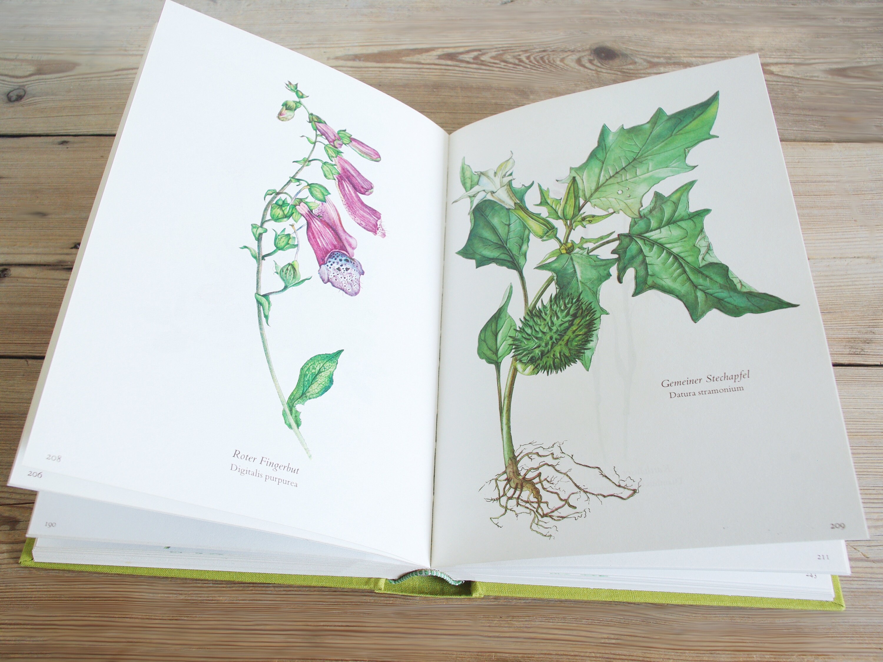 Vintage Big Flower Book With 300 Beautiful Color