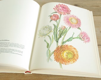 Vintage Big Flower Book With 115 Beautiful Color