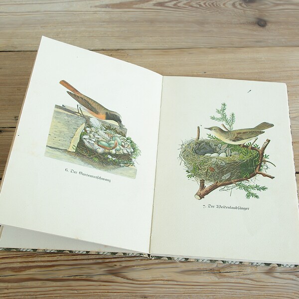 Vintage bird and nests book with beautiful color illustrations, pages for collage, journaling prints, home decor framing, old insel Bucherei