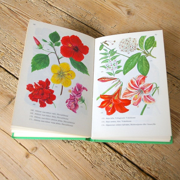 Vintage flower book guide houseplants, 100+ color flower illustrations, wall decor pages, collage prints, journaling, monstera fig plant