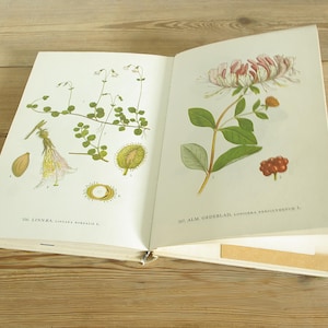 Livro vintage de flora com mais de 70 páginas com ilustrações coloridas, guia botânico de flores silvestres, suprimentos para diário de colagem, artesanato em papel para scrapbooking