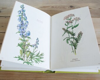 Vintage Big Flower Book With 300 Beautiful Color