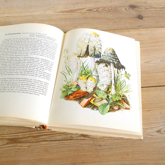 Vintage Mushroom Fungi Book With Color Illustrations, Toadstool