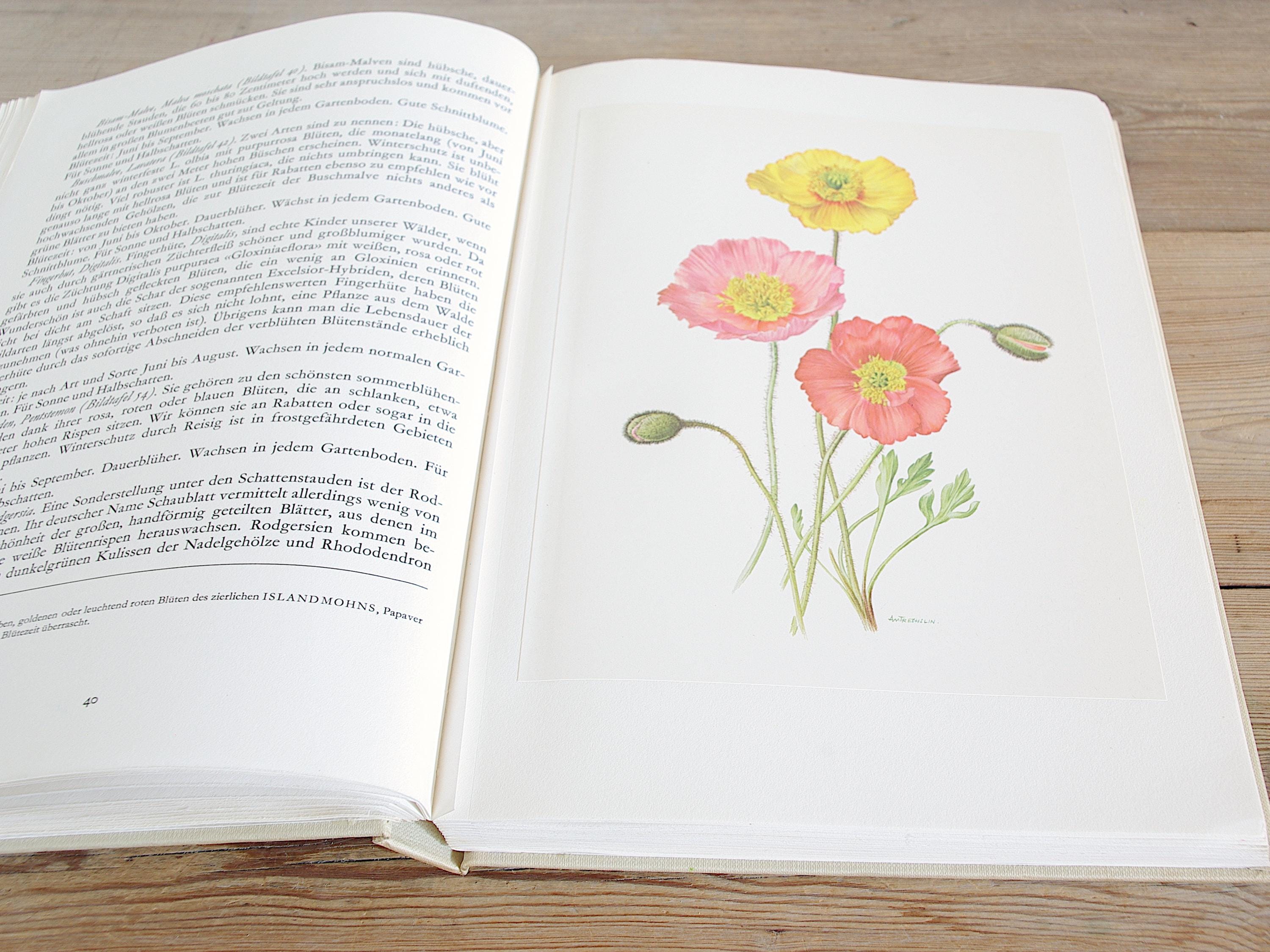 Vintage Big Flower Book With 60 Pages of Gorgeous Color
