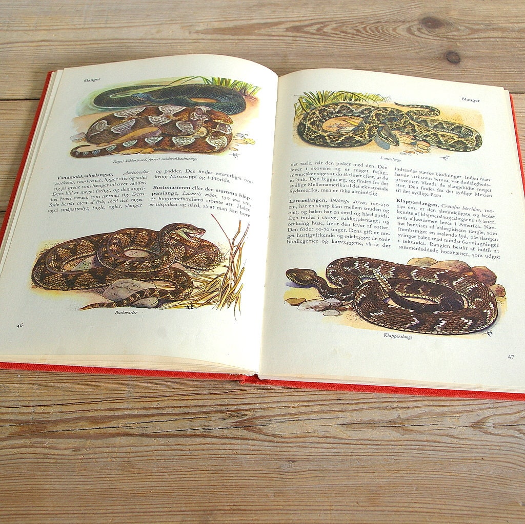 Vintage Reptile Book Color Illustrations Pages - Etsy