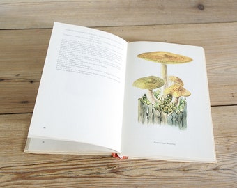 Vintage mushroom fungi book, botanical color illustration, toadstool field guide, drawing print wall, old colorful collage, bedroom gift