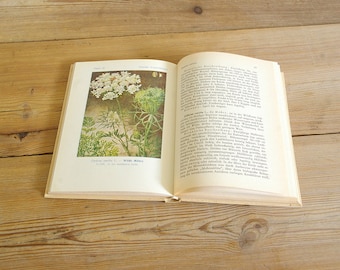 May include: An open hardcover book displaying a botanical illustration of a white flowering plant on the left page and German text on the right page. The illustration features detailed green stems and leaves with white flower clusters.