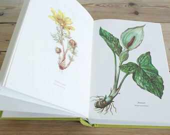 CLASSIC FLOWER アートブック Amazon.com: The Ultimate Flower Drawing Guide Book: 50