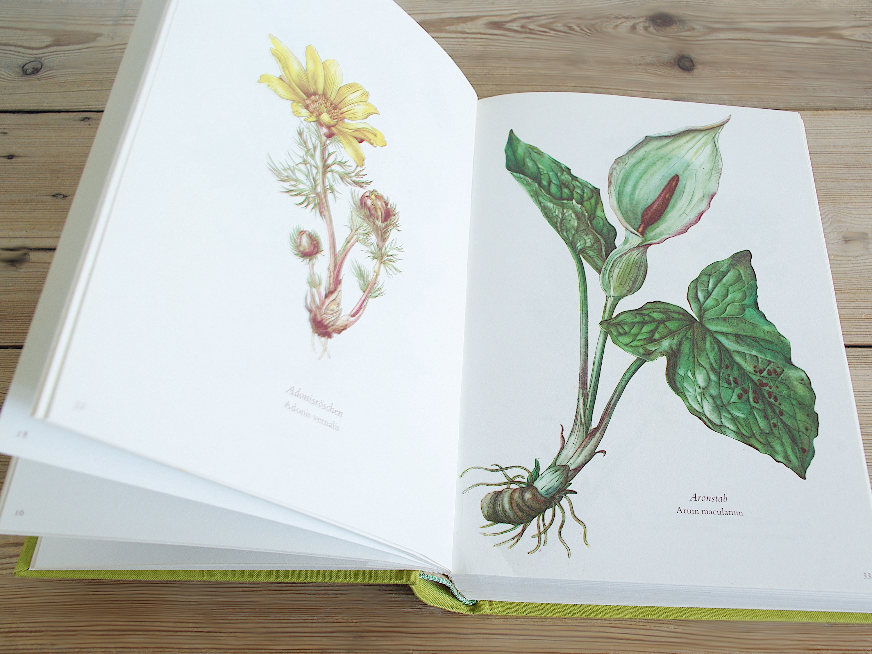 Vintage Big Flower Book With 300 Beautiful Color