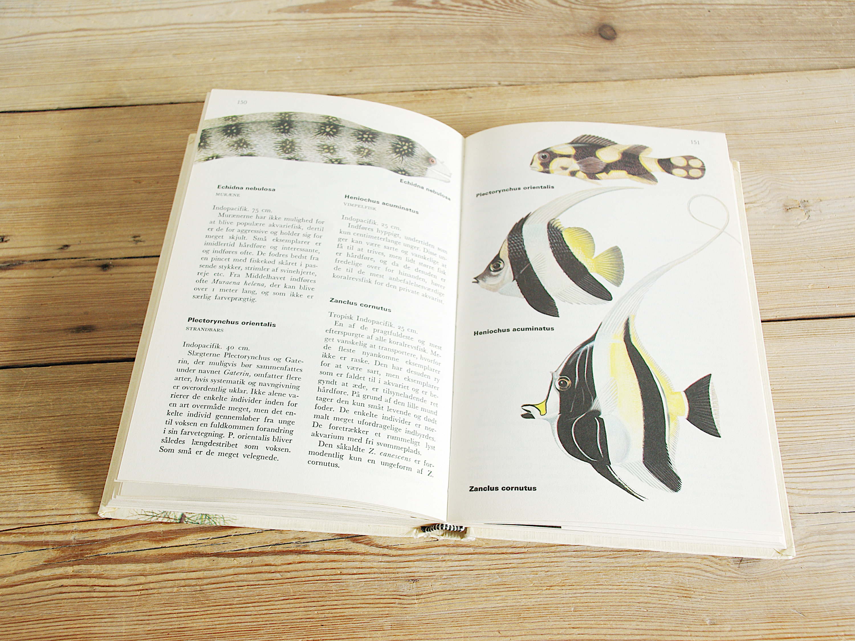 Vintage Aquarium Fish Book, 100+ Pages Color Illustrations, Fish