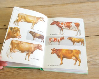 Vintage farm animals guide book, farming illustrations, color field guide, collage paper supply, journaling supplies, junk journal,