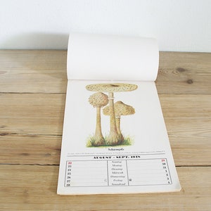 calendrier mural champignon unique vintage de 1948, illustrations couleur champignons champignon vénéneux, impressions botaniques pour collages, mur de chambre à coucher de cottage