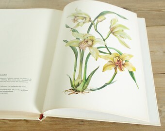 Vintage Big Flower Book With 115 Beautiful Color