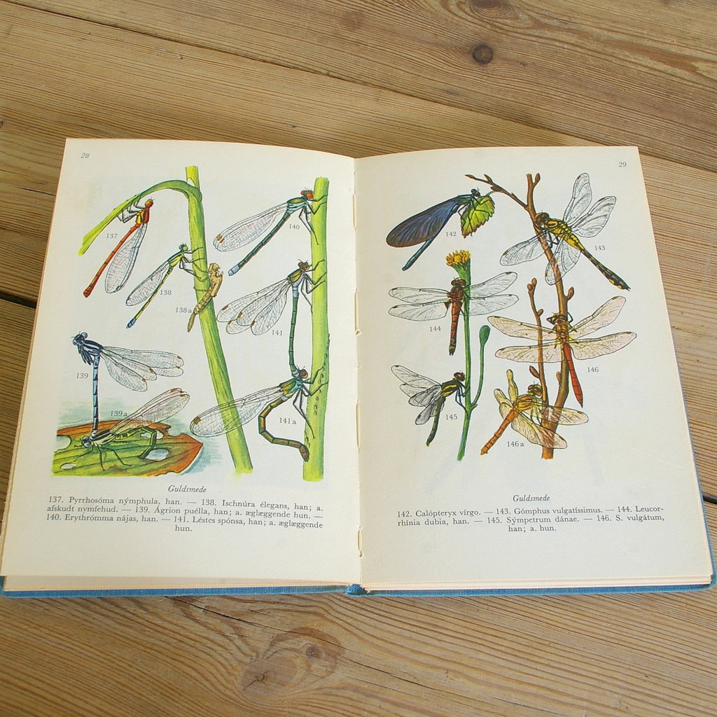 Vintage Insects Book Field Guide Lake Creek Halloween Decor | Etsy