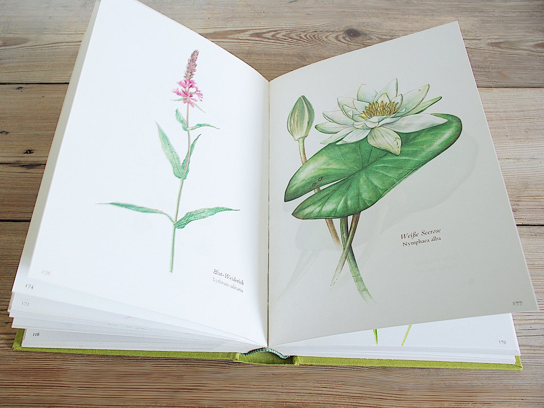 大人 可愛い 服  Vintage Big Flower Book With 300 Beautiful Color アート・デザイン・音楽