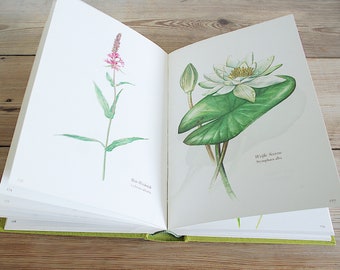 Vintage Big Flower Book With 300 Beautiful Color