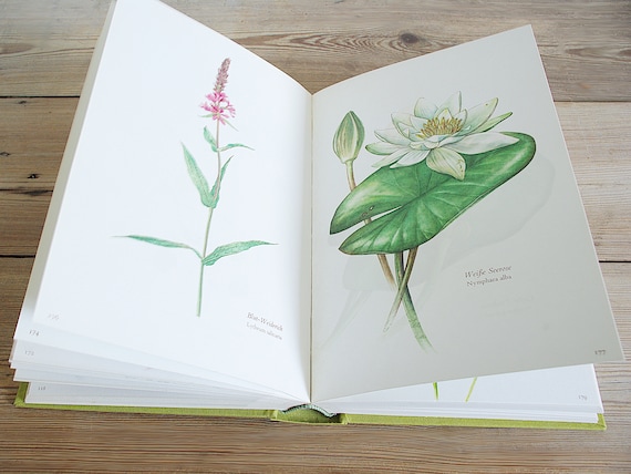 Vintage Big Flower Book With 300 Beautiful Color