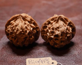 Matched Chinese Feng Shui Walnuts: Big Apple II 42 x 37 mm